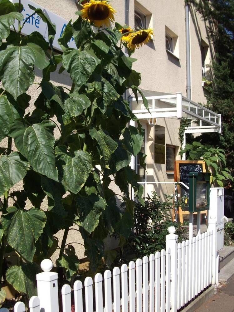 Pension & Cafe Am Kraehenberg Halle  Ngoại thất bức ảnh